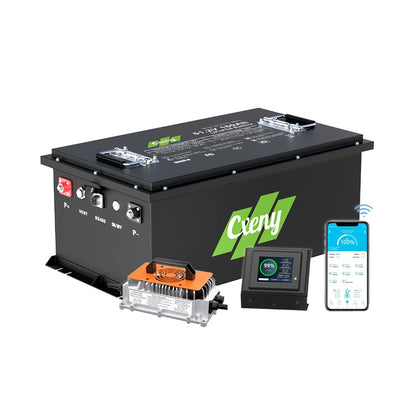 Cxeny 48V 160Ah Lithium Golf Cart Battery 200A Bluetooth BMS With 18A Charger