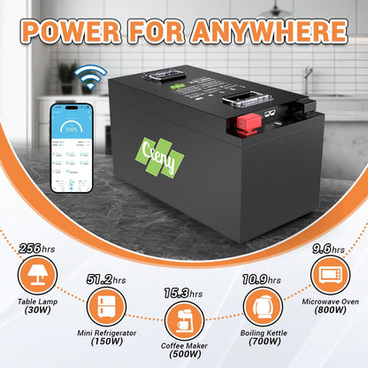 Cxeny 24V 300AH LiFePO4 Battery 8000+ Cycles Built-in Bluetooth 200A BMS