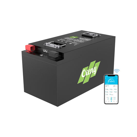 Cxeny 24V 200Ah Lithium Battery 8000+ Cycles Built-in 200A BMS With Bluetooth